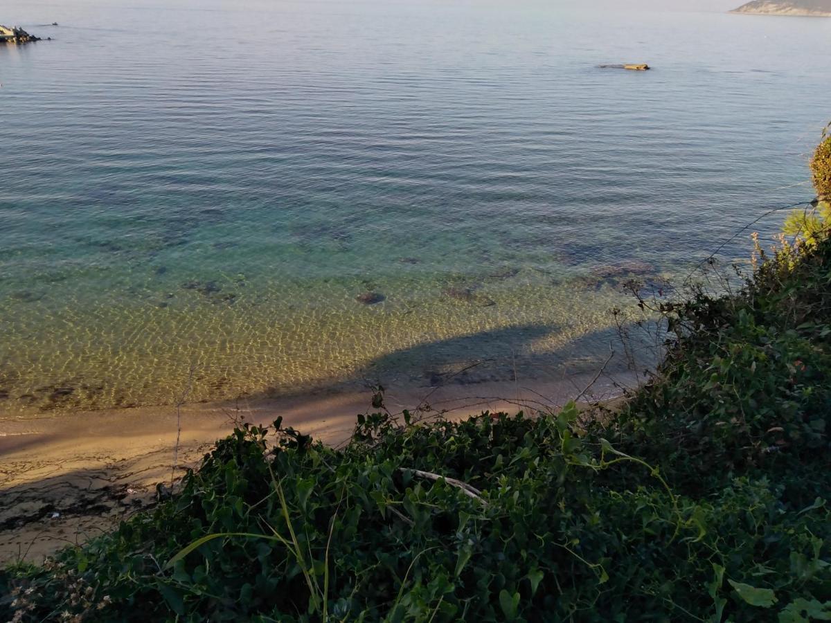 Casa Vacanze De Simone San Marco Di Castellabate Διαμέρισμα Εξωτερικό φωτογραφία