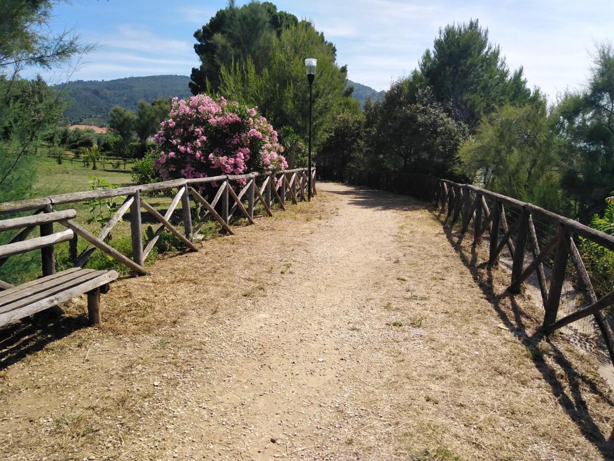 Casa Vacanze De Simone San Marco Di Castellabate Διαμέρισμα Εξωτερικό φωτογραφία