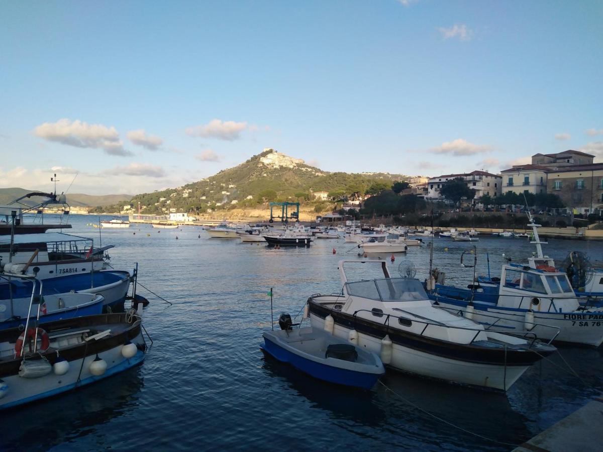 Casa Vacanze De Simone San Marco Di Castellabate Διαμέρισμα Εξωτερικό φωτογραφία