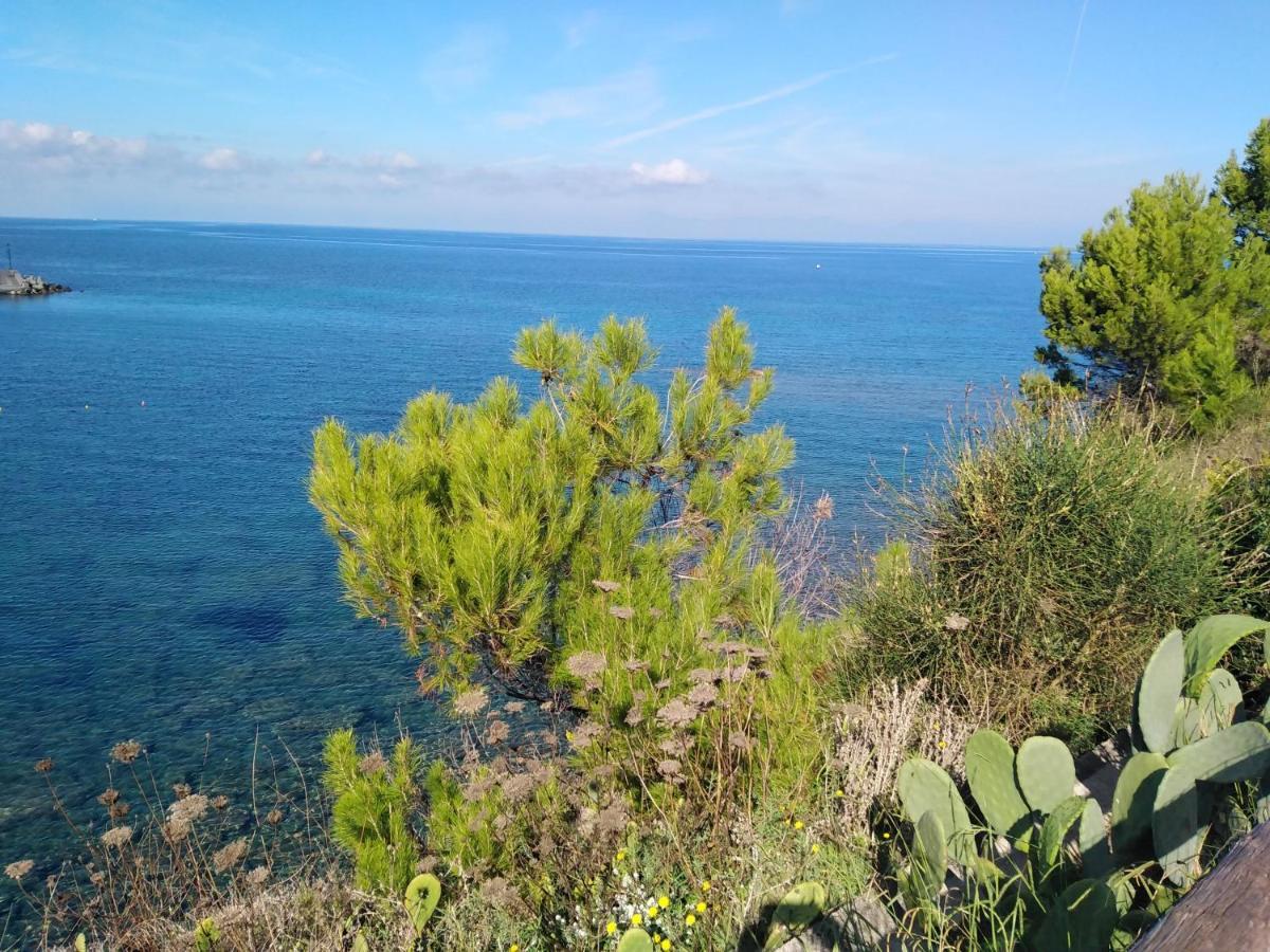 Casa Vacanze De Simone San Marco Di Castellabate Διαμέρισμα Εξωτερικό φωτογραφία